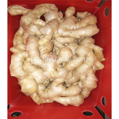 250g যোগ্যতাসম্পন্ন বায়ু আদা শুকনো